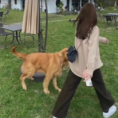 两个独立包装的女人
